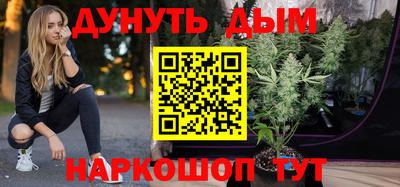 сатива Владимир