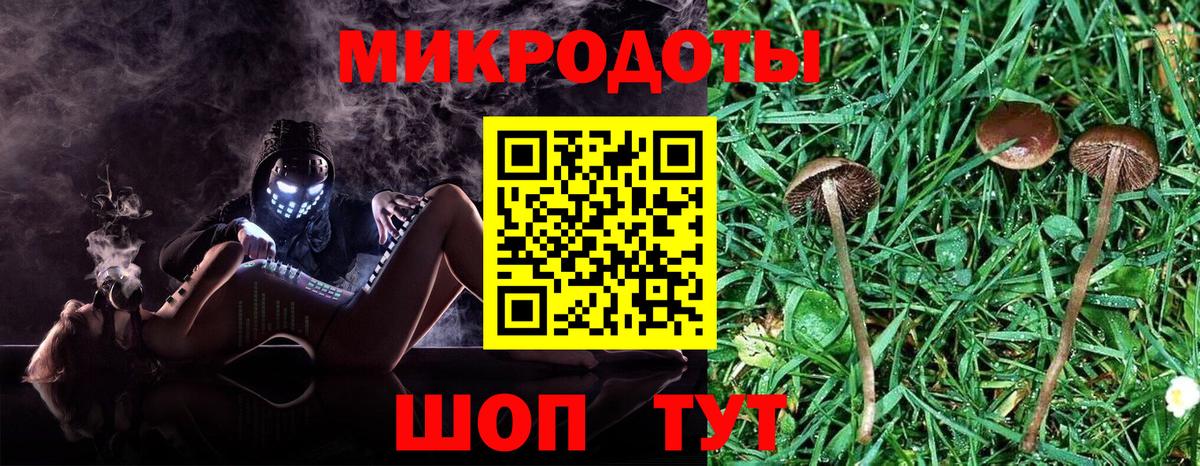 Псилоцибиновые грибы Cubensis  как найти закладки  Богородск  Вход с VPN  Псилоцибиновые грибы Psilocybine cubensis 